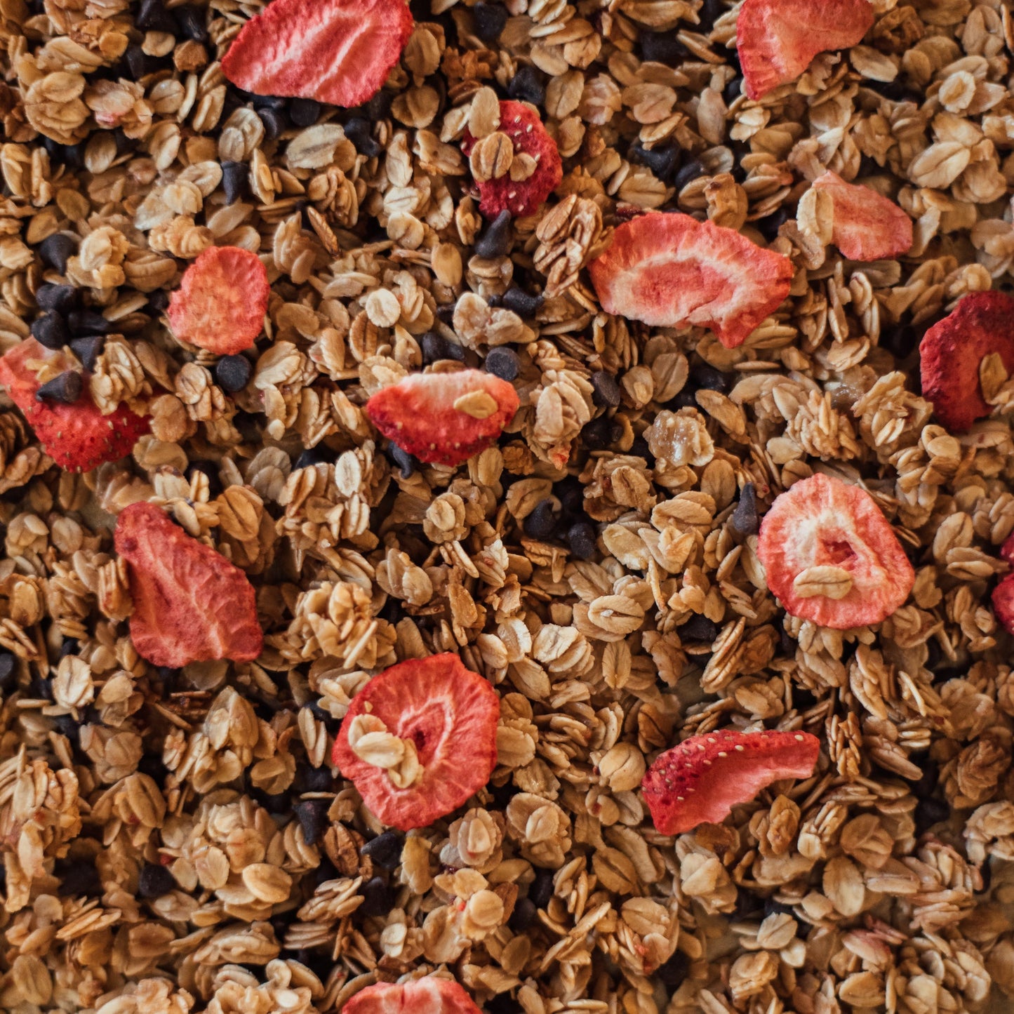 Strawberry Chocolate Chip Cookie Granola